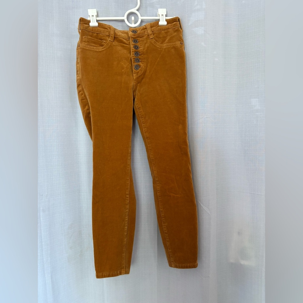 Anthropologie Pilcro Tan Pants
